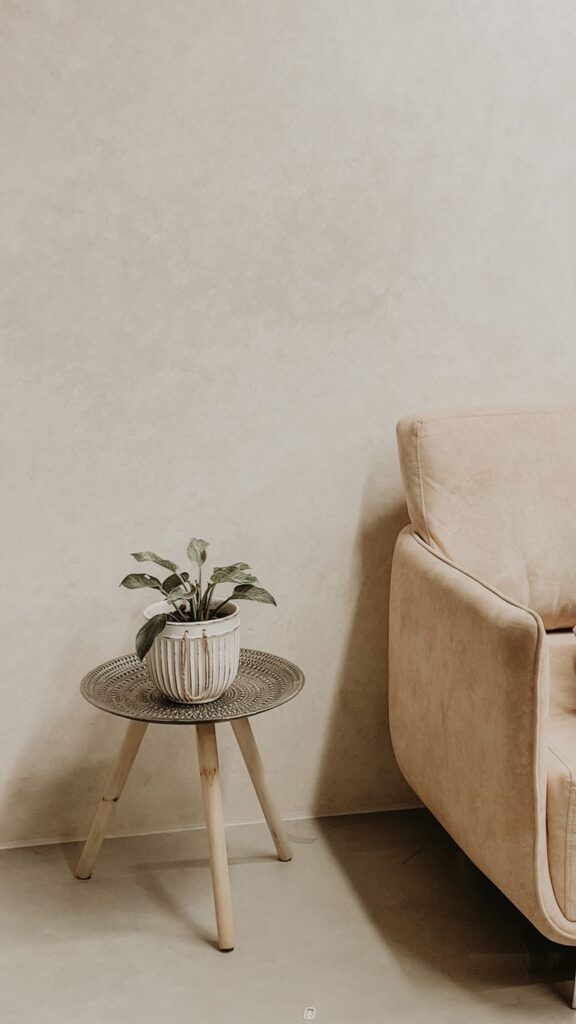 Elegant minimalist living room with beige sofa and potted plant in Kozhikode, India.